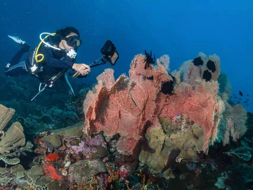  Divevolk SeaTouch 4 Max Selfie Kit 