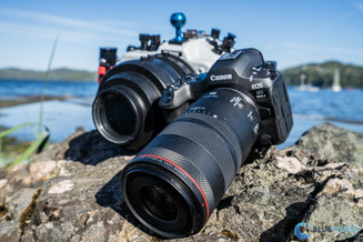 Canon R5 II Underwater Settings Canon R5 II Underwater Settings