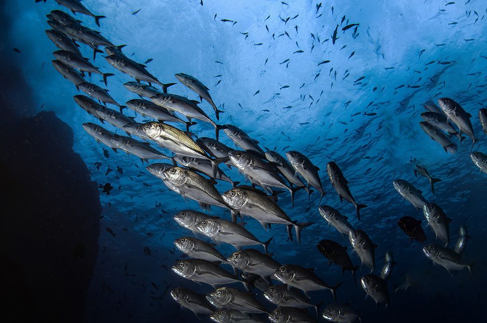 Buyers Guide Image Buyers Guide Image