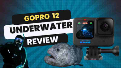GoPro Hero 12 Underwater Review GoPro Hero 12 Underwater Review