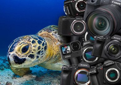 Top Cameras in 2024 Top Cameras in 2024