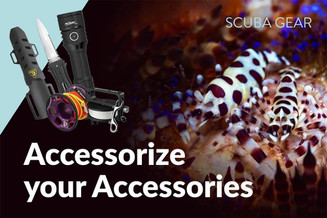 Accessorize with Accessories Accessorize with Accessories