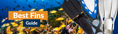The Best Scuba Fins in 2024 The Best Scuba Fins in 2024