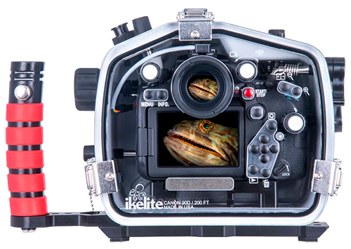 Ikelite Canon 90D 200DL Underwater Housing