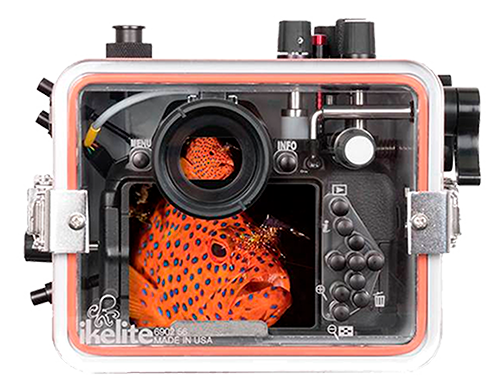 Ikelite Nikon D5500 D5600 200DLM/C Underwater Housing