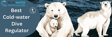 Best cold water regulator Best cold water regulator